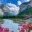 Switzerland Itinerary 5 Days: How to Spend 5 Days in Switzerland
