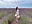 Lavender fields in Valensole, part of the 7-day South of France road trip