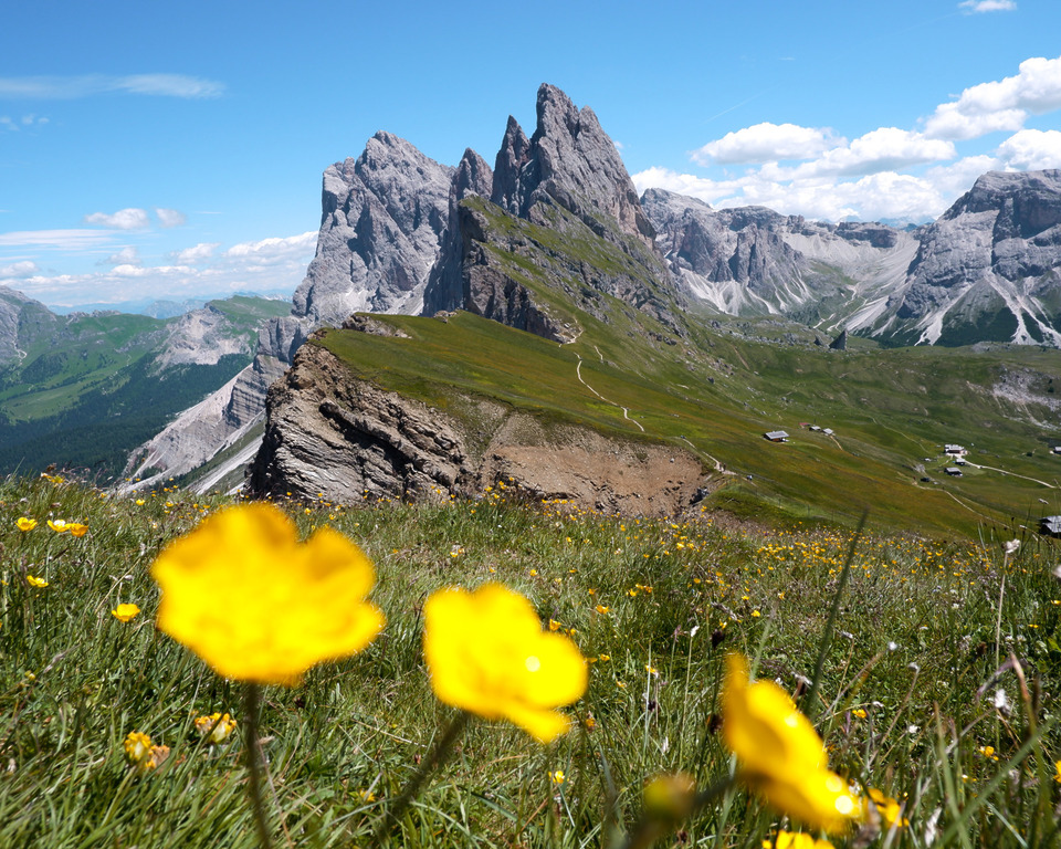 Seceda, Dolomites, Italy
